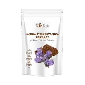 ספורט תוספי Ajuga Turkestanica תמצית 2% Turkesterone