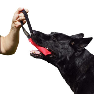 プロの環境に優しいファッション犬の咬傷棒ハンドル引き裂き抵抗性コットン生地ヘビーデューティモーラーチューイングトレーニングツール用 - Product Image 2