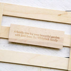 Características Únicas: Arándano Rojo, Regalo de Esperanza para Amantes de las Plantas, Cultive Cultivos Abundantes de Deliciosas Frutas Suaves, Arbusto de Arándano Rojo - Product Image 5