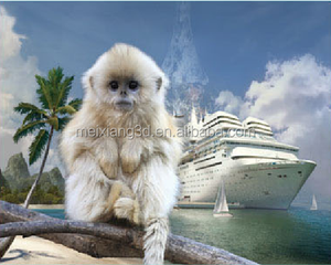 <span class=keywords><strong>Affiche</strong></span> animée en plastique 3D lenticulaire MEIXIANG, personnage de <span class=keywords><strong>film</strong></span> et de télévision, animation de retournement, peinture sportive, modèle 3040 - Product Image 3