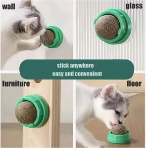 Оптовая продажа, вращающиеся шары для кошачьей мяты, игрушки для чистки кошачьих зубов, интерактивные шары для кошачьей мяты, игрушки для кошек - Product Image 5