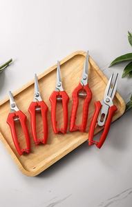 Sécateur agricole à double lame Similar Icon <span class=keywords><strong>DG</strong></span> en acier inoxydable forgé, 0,3 kg, pour pommiers, poiriers et autres arbres fruitiers - Product Image 2