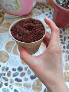 Hindistan cevizi Fiber Coir pelet besin toprak hafif bitki sıkıştırılmış taban bahçe - Product Image 6