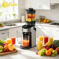 OEM Citrus- en groentesapcentrifuge met gaasfilter, slowjuicer, krachtige DC-motor, eenvoudig te reinigen, hoge opbrengst, sapcentrifuge met aangepaste logo's