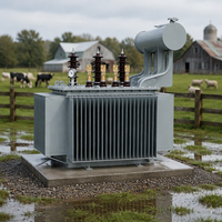 Transformateur auto-traduit triphasé immergé dans l'huile S20 630 kVA, trois enroulements, 50 Hz/60 Hz, pour distribution d'énergie agricole