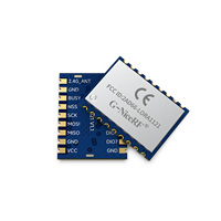 LoRa1121: Modul Komunikasi Multi-Band Sub-GHz dan 2.4GHz dan S-Band (Satellite Band) Jangkauan Jauh, Ukuran Ringkas