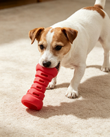Juguetes Masticables para Perros de TPR Populares para Uso en Interiores/Exteriores