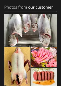 공장 핫 판매 상업용 생선 판체타 건조 숙성 블랙 스테인레스 드라이 에이지 쇠고기 냉장고