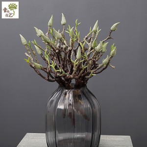 Rama de Magnolia Artificial de Alambre Plástico, Alta Simulación, Adorno para Interiores, Decoración del Hogar, Accesorio de Fotografía - Product Image 2