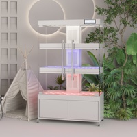 Nouvelle serre agricole plantation de feuilles système hydroponique intelligent jardin intérieur Simple verre hydroponique armoire légumes