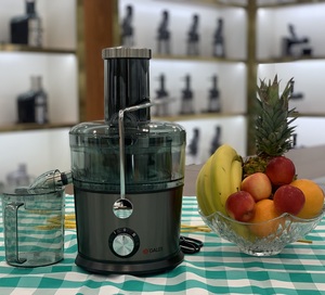 Extractor de Jugos Multifuncional de Boca Ancha y Limpieza Rápida, Potente Exprimidor de Frutas y Verduras para Uso Comercial y Doméstico - Product Image 1