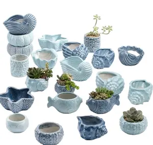 Vendita calda oceano succulenta vaso di fiori ornamenti simpatico cartone animato conchiglie di balena piante succulente piccoli vasi di fiori