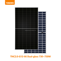 Panneau solaire bifacial Tongwei TNC2.0 G12R-66 730-750W de type N à demi-cellules, double vitrage, efficacité de 24,1 %, module PV de niveau 1