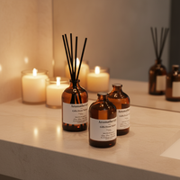Diffuseurs de parfum en roseau de style nordique, désodorisant, bouteille en verre sans feu, 100 ml, décoration d'intérieur, aromathérapie, cadeau