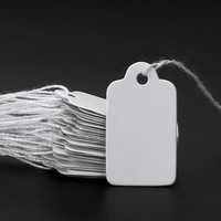 Étiquettes suspendues de prix d'étiquette vierge blanche de taille personnalisée avec cordon en coton de 10cm