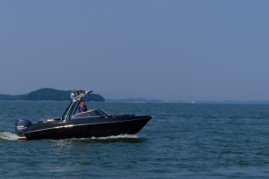 Yate Deportivo de 6m (20 pies) Serie All Black, Casco de Fibra de Vidrio, Toldo Bimini, Motor, Diseño Personalizado, Pesca y Recreación - Product Image 5