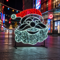 Guirlande lumineuse LED extérieure IP65, motif nœud ruban 2D, décoration murale commerciale pour l'extérieur, idéale pour les fêtes
