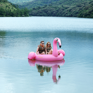 Thiết kế đẹp 2 người cơ giới Inflatable Flamingo hồ bơi Float cho kỳ nghỉ hè - Product Image 4