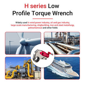 WREN Top Spot Goods Factory H27/54/120/210/430 Verstelbare Hydraulische Momentsleutel Laag Profiel Industrie met 360° °   Draaikoppeling - Product Image 5