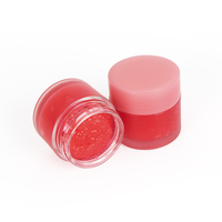 Kit de Soin des Lèvres au Sucre Rose de 20g Marque Privée avec Baume et Gommage Lèvres 20g, Vente en Gros de Produits de Soin des Lèvres