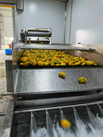 2025 Mango Sap Pulp Verwerkingslijn Voedselsterilisator Pasteuriseur Automatisch 304 RVS ISO 9001 Gecertificeerd