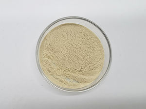 Polysaccharid 60% Nahrungsergänzungsmittel oder Getränkezutat <span class=keywords><strong>Euglena</strong></span>-Pulver - Product Image 4