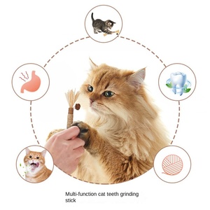 Juguetes explosivos para mordedores para mascotas Silvervine <span class=keywords><strong>Catnip</strong></span> masticar Limpieza de dientes juguetes interactivos para gatos - Product Image 3