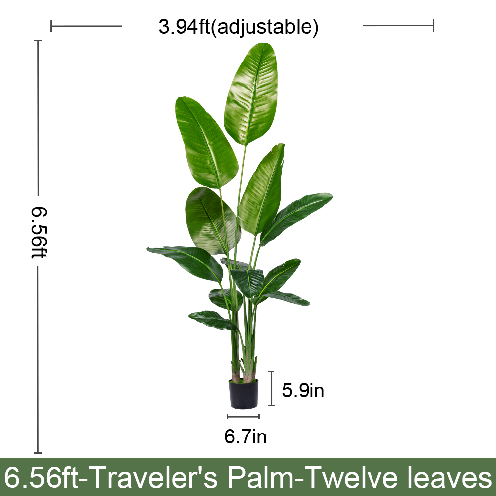 7.2ft/220CM