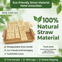 Kit de toilette jetable pour hôtel, format voyage, ensemble à usage unique avec contenants en plastique pour maquillage et articles de toilette
