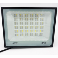 Projecteur LED Mince 30W-200W Haute Luminosité SMD IP66 Extérieur Jardin CE RoHS 6000K Lumière du Jour Dimmable