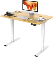 Sit Stand-mueble eléctrico ajustable para oficina o Hogar, mueble moderno con 2 columnas de elevación, escritorio de pie