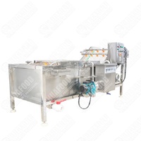 Machine à laver entièrement automatique Câpres Feuilles de basilic Feuille de manioc Nettoyage à bulles