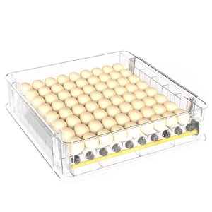 Incubateurs à œufs automatiques avec retournement des œufs et contrôle de la température, <span class=keywords><strong>56</strong></span> œufs, pour poulets et écloseries - Product Image 5