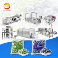 ORME Industriële Voedselverwerkingslijn voor het reinigen, invriezen van knoflook, ananas, fruit en groenten.
