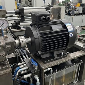 Moteur à aimant avec option d'arbre en acier inoxydable, IP55, puissance personnalisée de 0,75 kW à 315 kW - Product Image 6