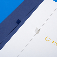 Custom Logo Gift Packaging by Lionwrapack - Eco-Friendly Recyclable Large Textured Art Paper Clothing Boxes