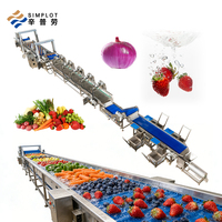 Machine de lavage entièrement automatique pour fruits et légumes, équipement de nettoyage de légumes à pulvérisation haute pression