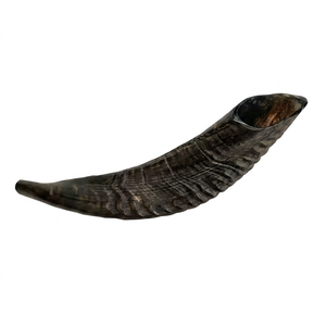Cuerno de Búfalo Natural Ecológico Pulido de 20 Pulgadas, Material Artesanal Rústico Moderno para Manualidades, Exportación a Granel de Año Nuevo - Product Image 1