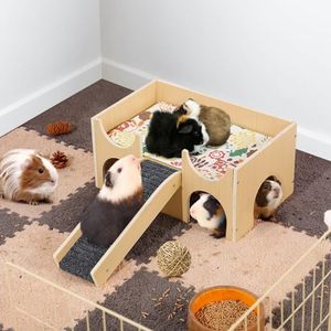 Cachette en <span class=keywords><strong>bois</strong></span> robuste pour cobayes, <span class=keywords><strong>maison</strong></span> pour petits animaux avec escalier, à assembler pour hamsters, lapins, chinchillas, jeu et cachette - Product Image 6