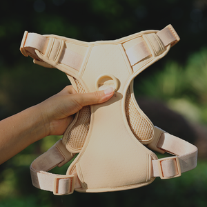 <span class=keywords><strong>Harness</strong></span> Anjing Sport Desainer Baru Warna Kustom, Tali dan <span class=keywords><strong>Harness</strong></span> Anjing Nylon Sederhana Berbahan Jaring Lembut dan Bernapas - Product Image 4