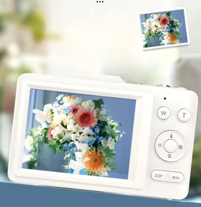 Cámaras Digitales Portátiles Mini IP67 Blancas, Negras y Rosas, Cámaras Personalizadas de 1080P para el Hogar, Juguetes de Foto y Video para Niños, Venta al por Mayor, Enfoque Fijo - Product Image 2