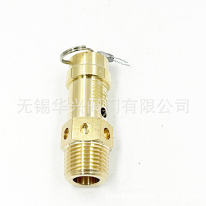 Soupape de sécurité à ressort Aifusi A28X-16T 1/2 pouce filetée pour gaz à température normale - Product Image 3
