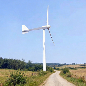 Generador Eólico Horizontal de Montaje en Suelo de 1kw, Pequeño, ES-L-1KW, Dispositivos de Alineación Eólica que se Ajustan Automáticamente a la Dirección del Viento - Product Image 2