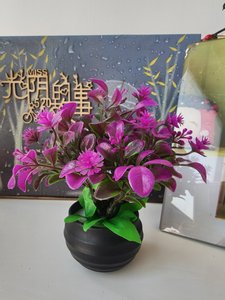 Ornements Floraux en Pot Mini Créatifs Huaien, Petite Plante Artificielle la Plus Vendue pour la Décoration de la Maison <span class=keywords><strong>et</strong></span> du Bureau - Product Image 6