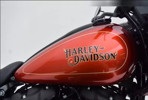 Pronto a guidare 2025 per-harley-Davidsons Cruiser moto Softail FXRST - Low Rider <span class=keywords><strong>El</strong></span> <span class=keywords><strong>Diablo</strong></span> in vendita - Product Image 2