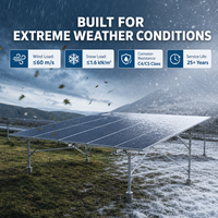 Système de montage au sol pour panneaux solaires de 2 MW personnalisable avec poteaux à vis de terre en acier Zn-Al-Mg, système de fixation PV à double poteau
