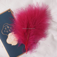 Plumes de dinde Marabou en gros, 5-7 pouces, pour la fabrication artisanale de mouche à pêche et d'accessoires DIY