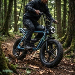 <span class=keywords><strong>Vélo</strong></span> <span class=keywords><strong>électrique</strong></span> tout-terrain 7 vitesses couleur personnalisée avec pneus larges <span class=keywords><strong>de</strong></span> 4 pouces, VTT <span class=keywords><strong>électrique</strong></span> pour l'exploration des sentiers forestiers - Product Image 2