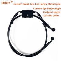 Tuyaux de frein en acier inoxydable noir de haute qualité avec revêtement PTFE pour moto Harley Davidson Sportster avec ABS