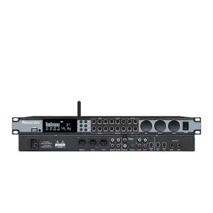 2024 Nieuwe Audio-Effector Processor Voor Podiumprestaties Ktv Bar School